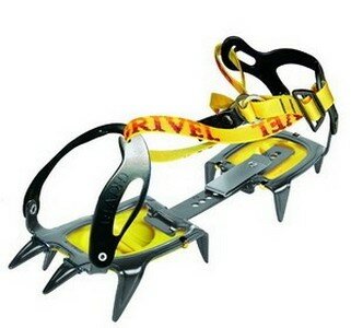 Кошки ледовые