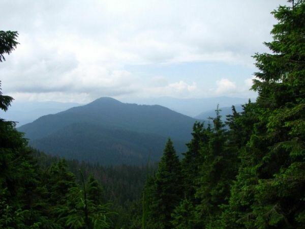 Карпатский заповедник